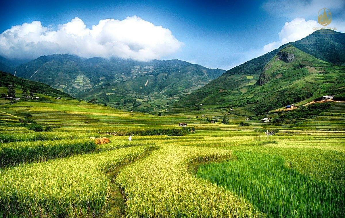 Mu Cang Chai Sunset Viewpoint & Thai People Homestay: Golden Hour at Horseshoe Hill